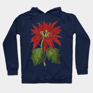 Vintage Christmas Poinsettia Plant Hoodie